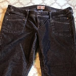 Z-Cavaricci Corduroy Jeans, Size 20